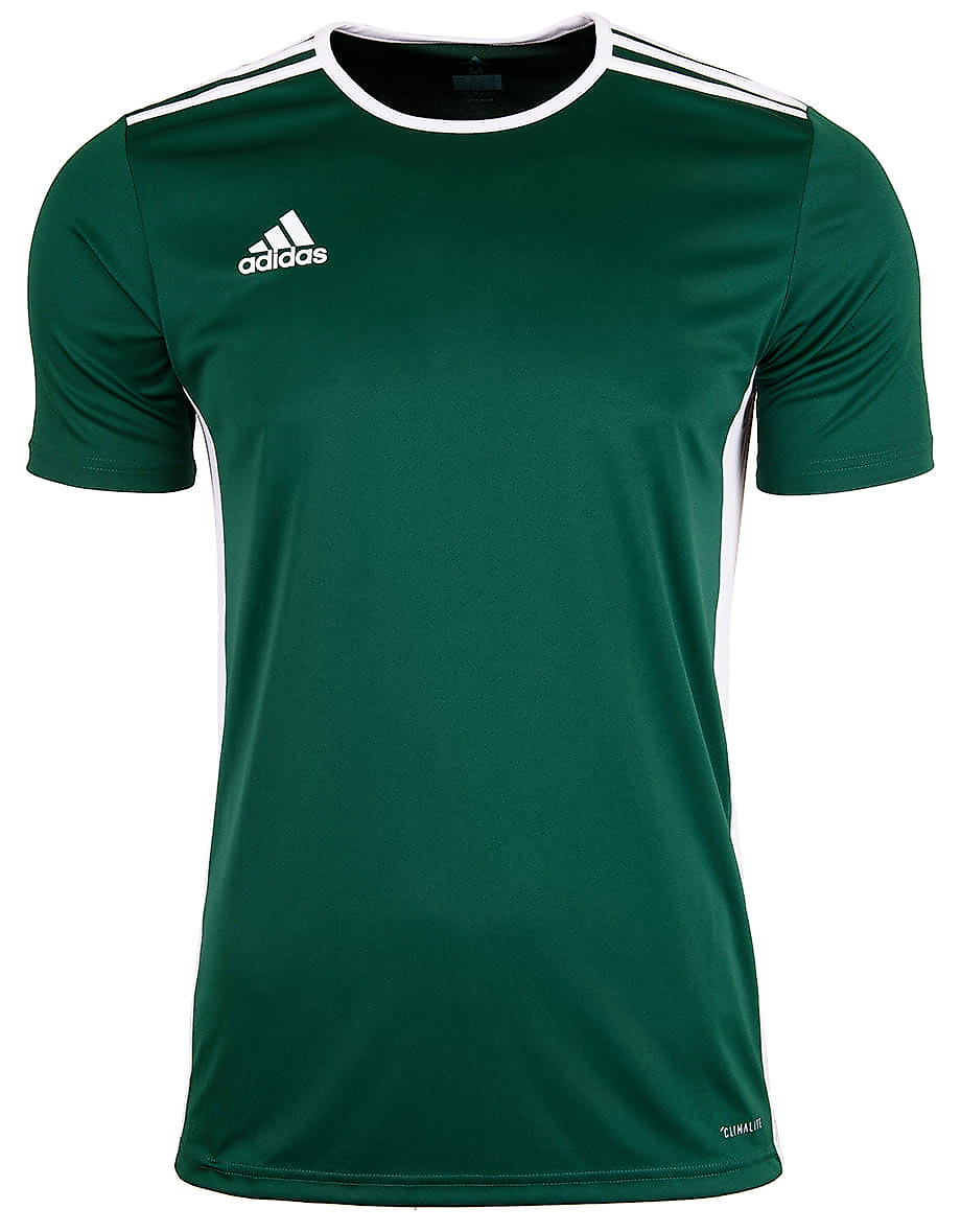 Detské tričko adidas Entrada 18 Jersey JUNIOR CE9563