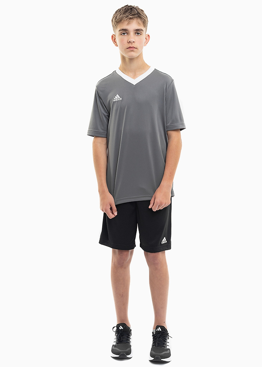 adidas Detský športový set Tričko Krátke Nohavice Entrada 22 Jersey H57499/H57502
