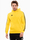 Obrázok adidas Bluza męska Tiro 23 League Sweat Hoodie IC7850 variantu produktu