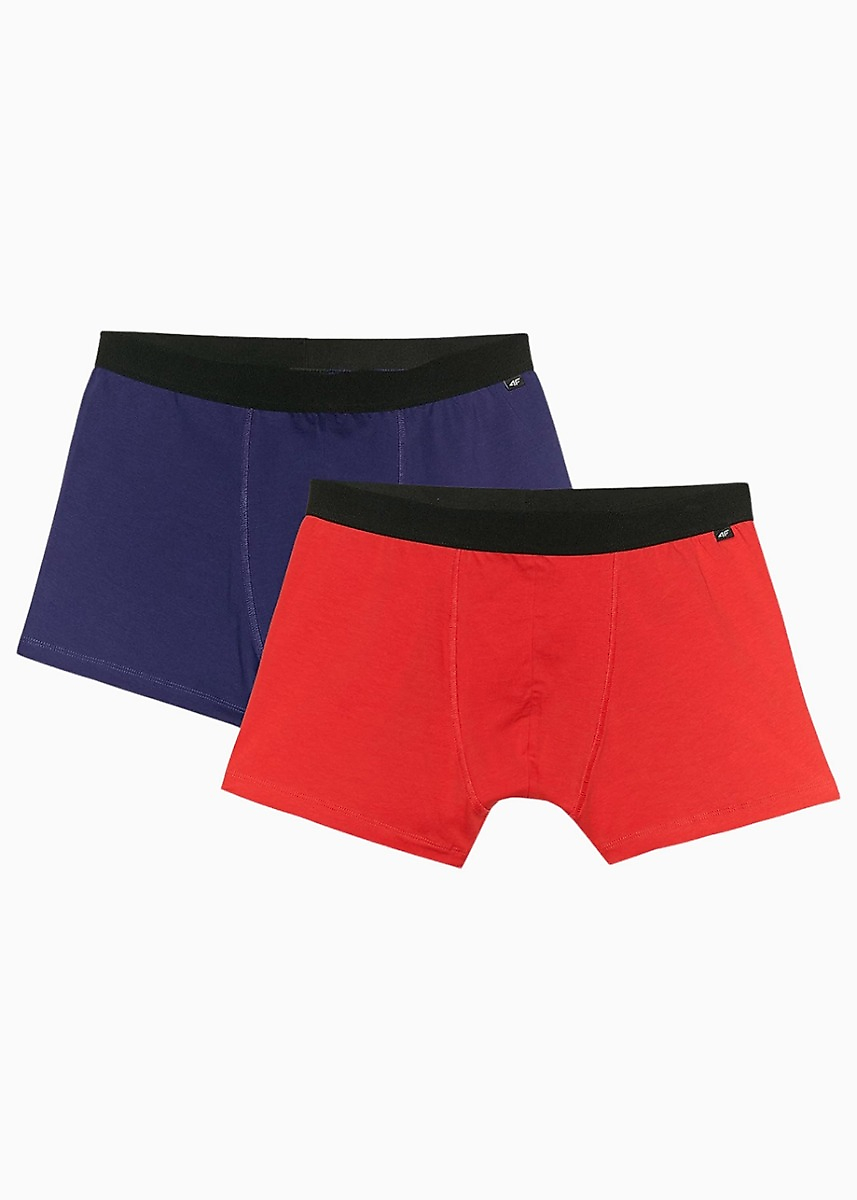 4F Pánske boxerky M059 2-pack 4FWMM00UBXSM059 91S