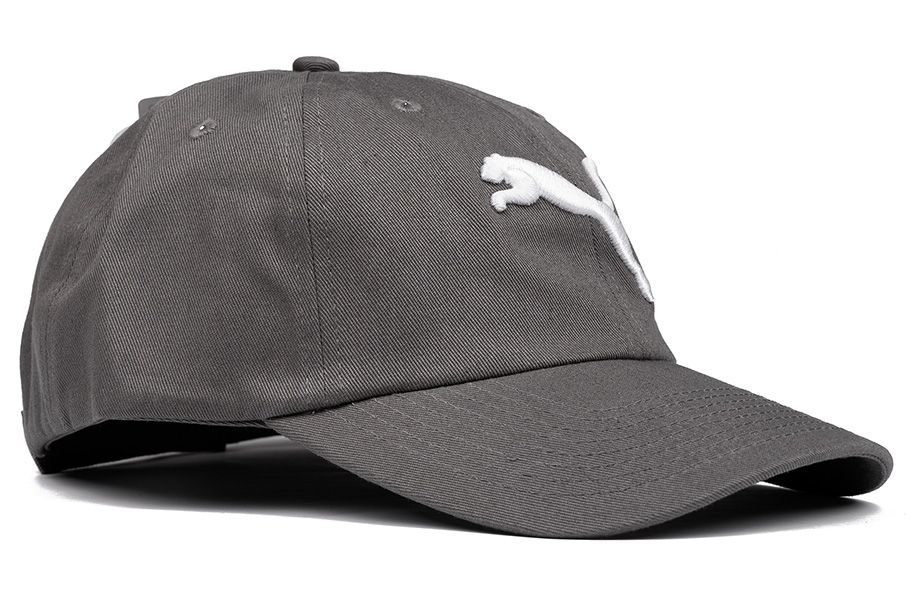 PUMA Bejzbalová čiapka ESS Cap 022416 01
