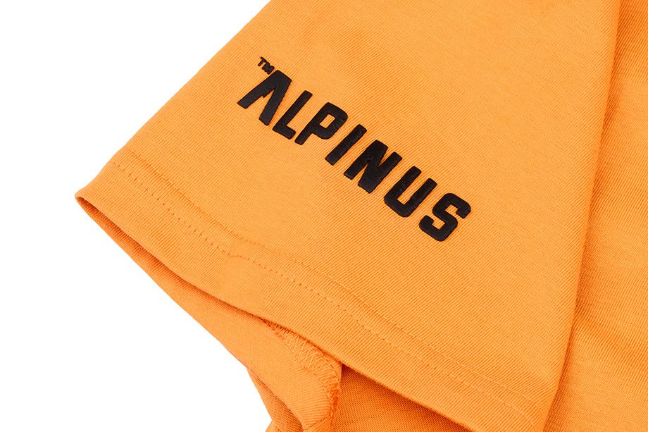 Alpinus Pánske Tričko T-Shirt A' ALP20TC0002_ADD 3