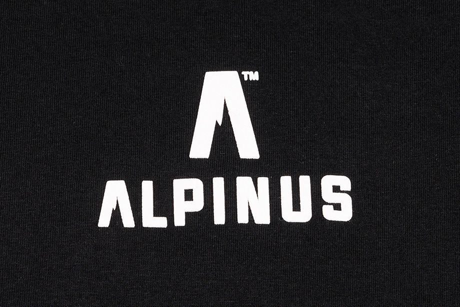 Alpinus Pánske Tričko T-Shirt Wycheproof ALP20TC0045