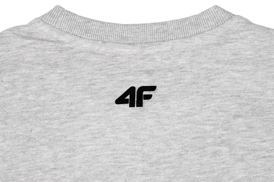 4F Pánska Mikina Crew Neck NOSH4 BLM001 27M