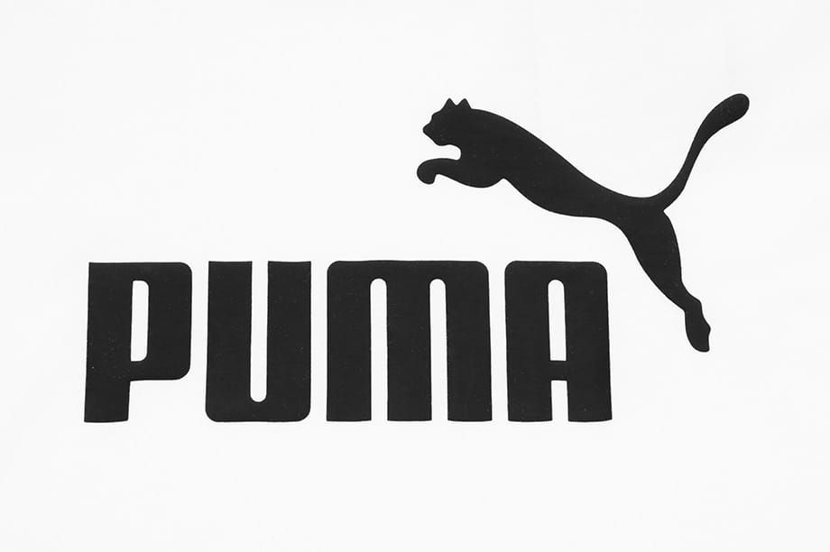 Puma Dámske tričko Amplified Graphic Tee 585902 02