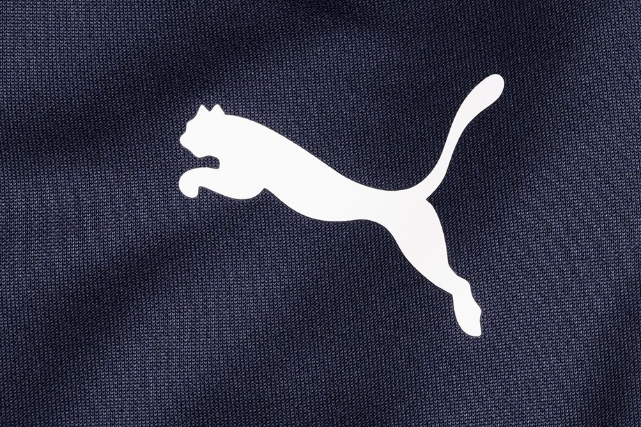 Puma pre deti tepláková súprava TeamRISE Track 657393 06/657391 06