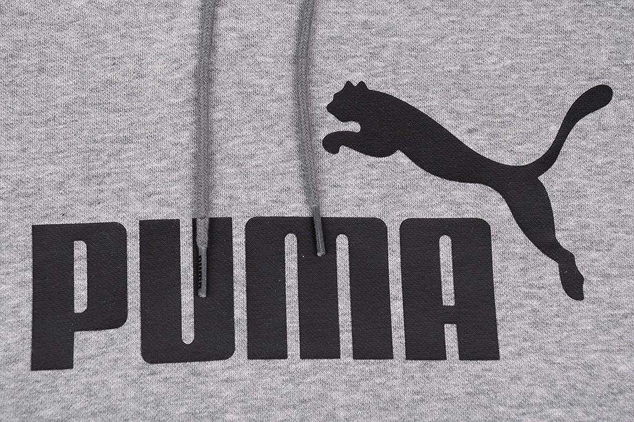 PUMA Pánské Mikina Essentials Hoody Fleece Big Logo 851743 03