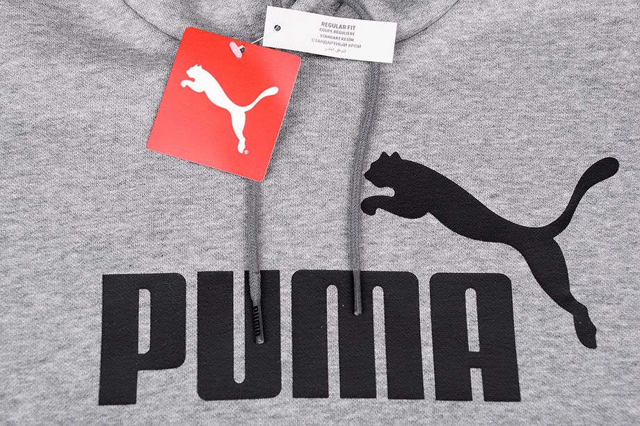 PUMA Pánské Mikina Essentials Hoody Fleece Big Logo 851743 03