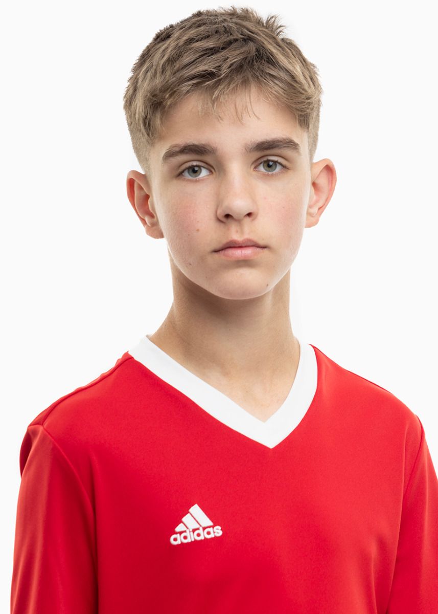 adidas Detský športový set Tričko Krátke Nohavice Entrada 22 Jersey H57496/H57501 adidas Detský športový set Tričko Krátke Nohavice Entrada 22 Jersey H57496/H57501