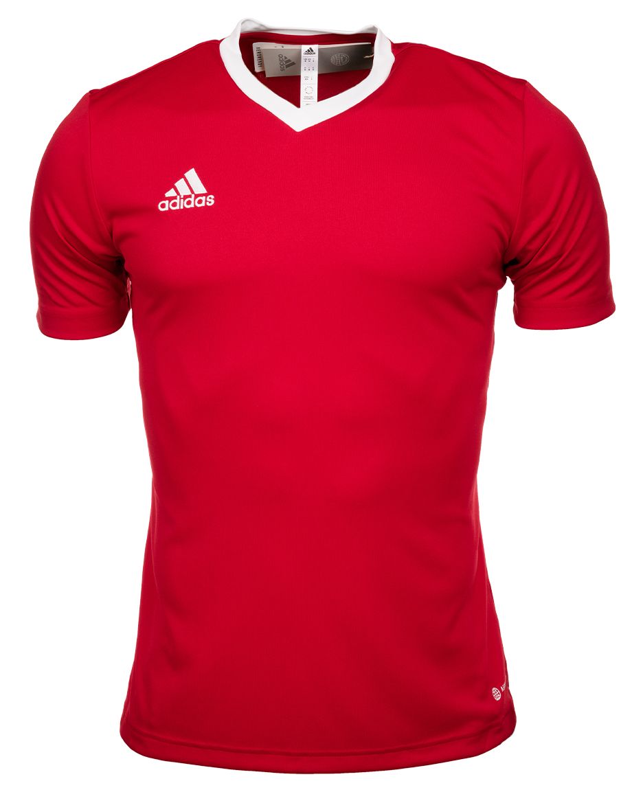 adidas Pánsky športový set Tričko Krátke Nohavice Entrada 22 Jsy H61736/H57504