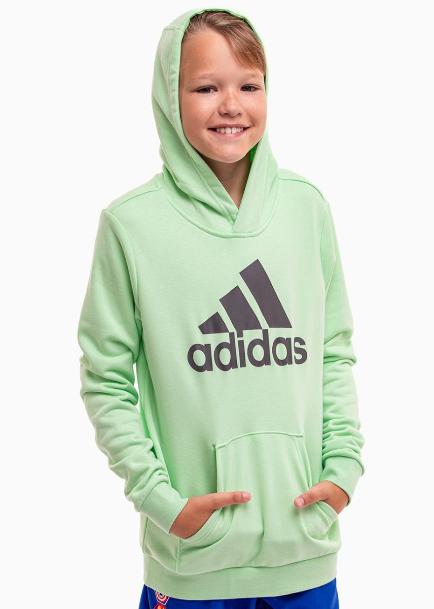 adidas Detská mikina Big Logo Essentials Cotton Hoodie IS2591