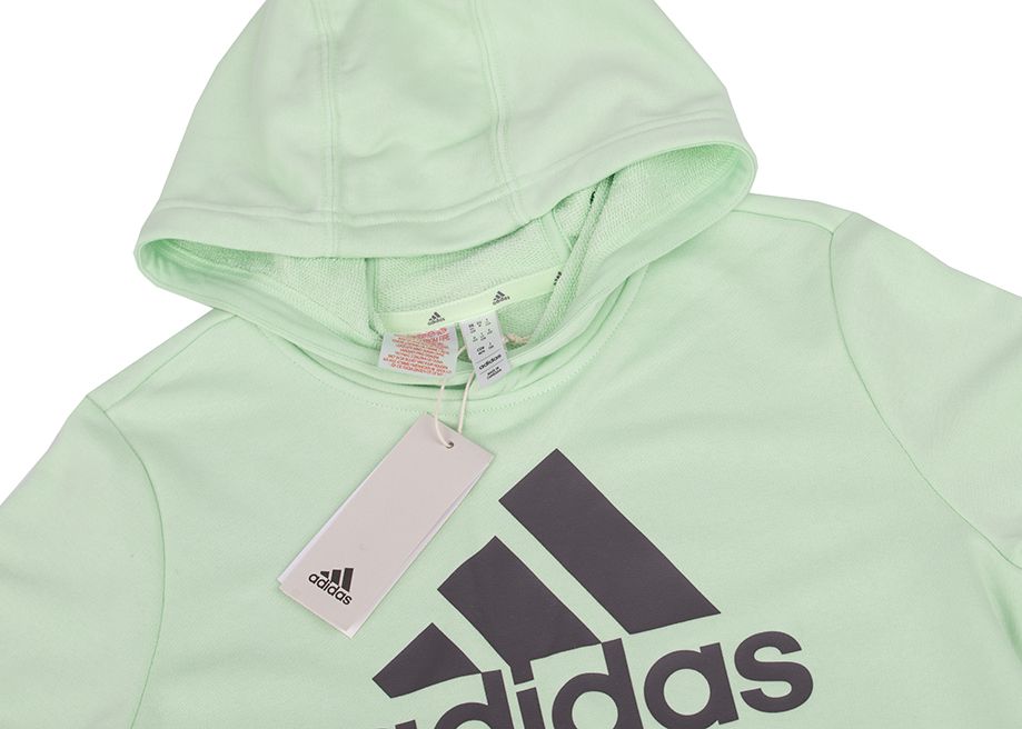 adidas Detská mikina Big Logo Essentials Cotton Hoodie IS2591