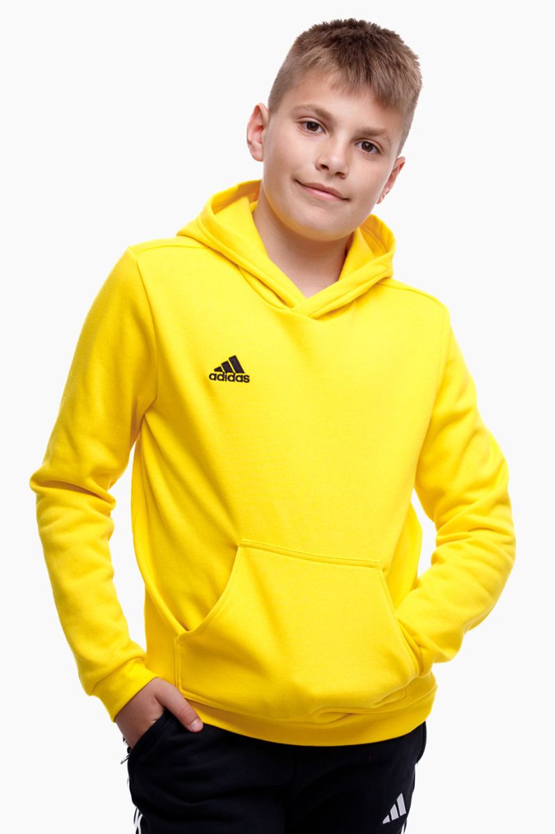 adidas Detská Mikina Entrada 22 Hoody HI2142