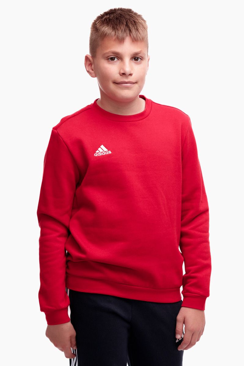 adidas Detská mikina Entrada 22 Sweat Top H57473