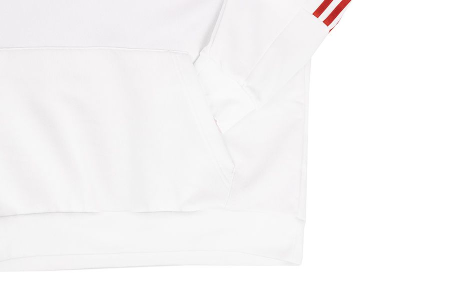 adidas Pánska mikina House of Tiro Nations Pack Hoodie IY4528 adidas Pánska mikina House of Tiro Nations Pack Hoodie IY4528