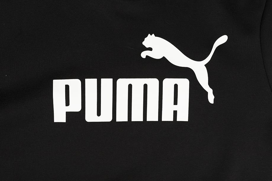 PUMA Pánska mikina Big Logo Hoodie FL 586686 01