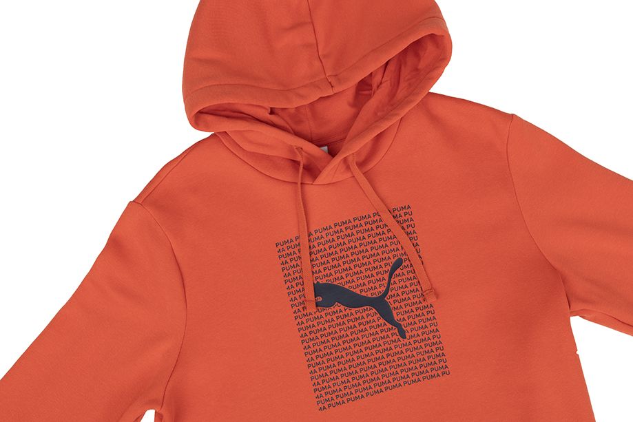 PUMA Pánska mikina Ess Logo Lab Hoodie FL 684669 15 PUMA Pánska mikina Ess Logo Lab Hoodie FL 684669 15