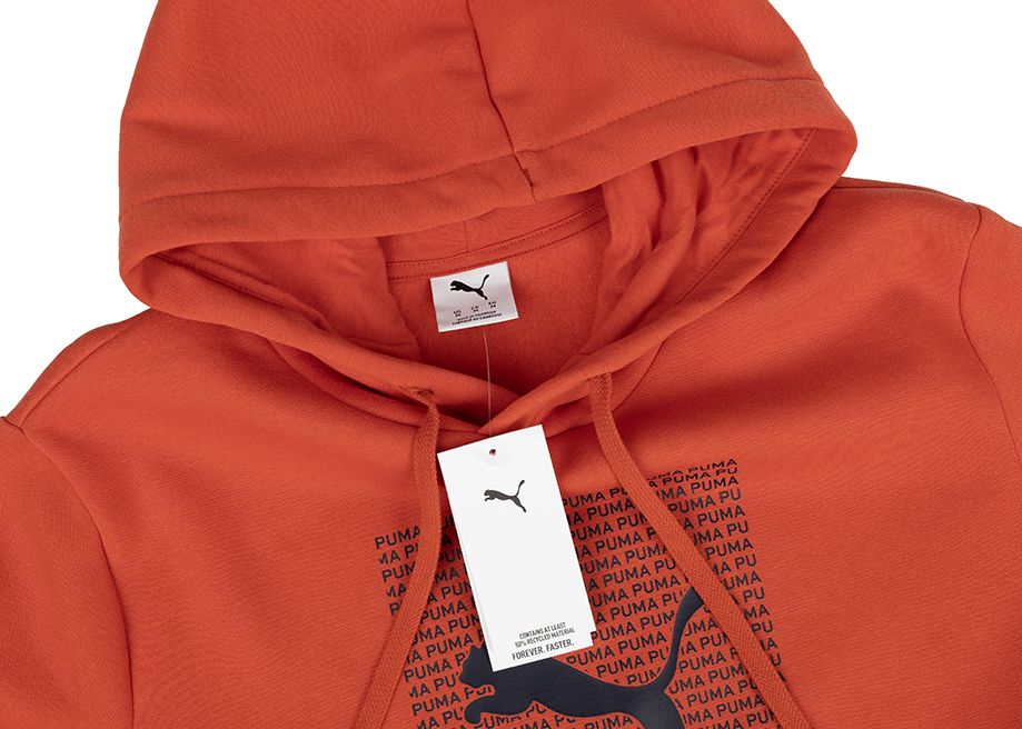 PUMA Pánska mikina Ess Logo Lab Hoodie FL 684669 15 PUMA Pánska mikina Ess Logo Lab Hoodie FL 684669 15