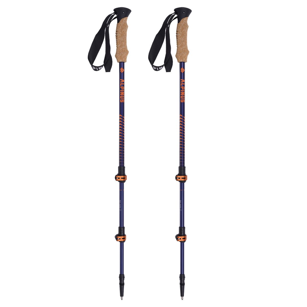 Alpinus Palice Nordic Walking Monte Rosa NX11315