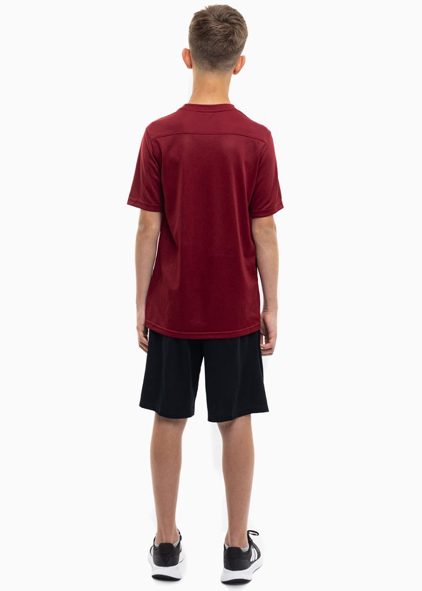 Nike Detský športový set Tričko Krátke Nohavice Dry Park VII JSY SS BV6741 677/BV6865 010