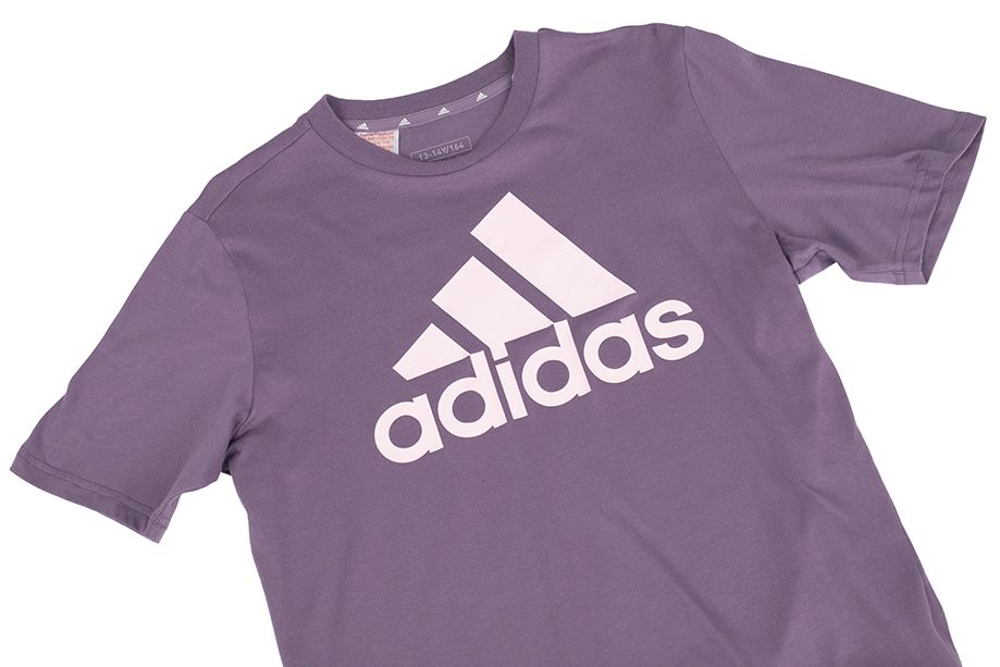 adidas Detské tričko Essentials Big Logo Cotton Tee IJ7061