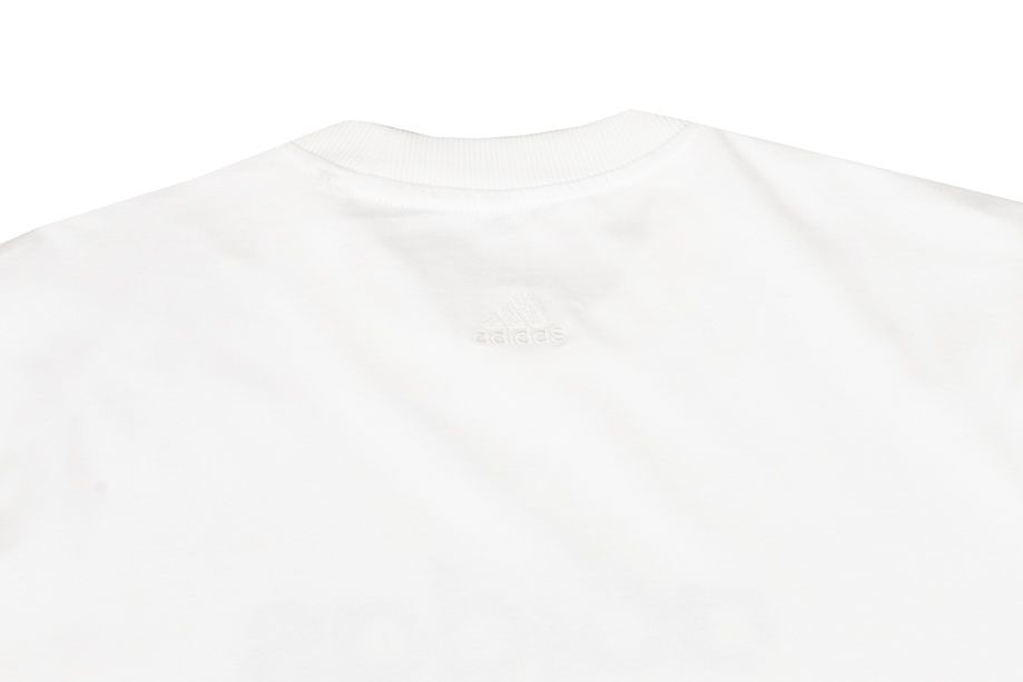 adidas Pánske tričko All SZN Graphic Tee IC9821