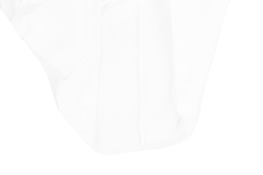 adidas Pánske tričko Essentials Single Jersey Big Logo IJ8579