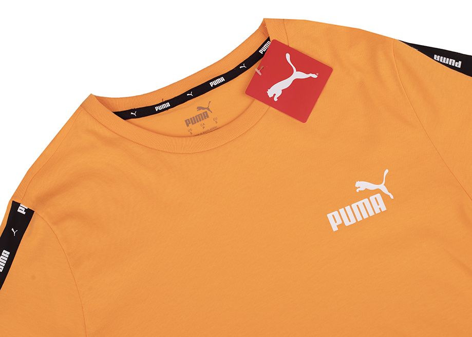 PUMA Pánske tričko Essential 847382 58