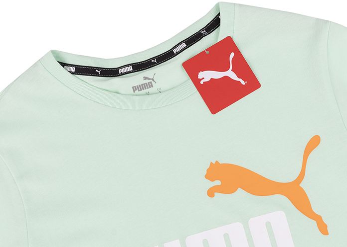 PUMA Pánske tričko ESS+ 2 Col Logo Tee 586759 88