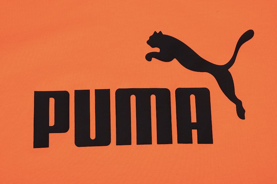 Puma Pánske Tričko ESS Logo Tee 586667 94