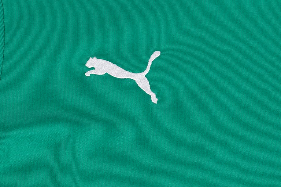 PUMA Pánske tričko teamGOAL 23 Casuals Tee 656578 05