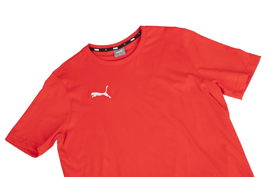 PUMA Pánske tričko teamGOAL 23 Casuals Tee 656578 01