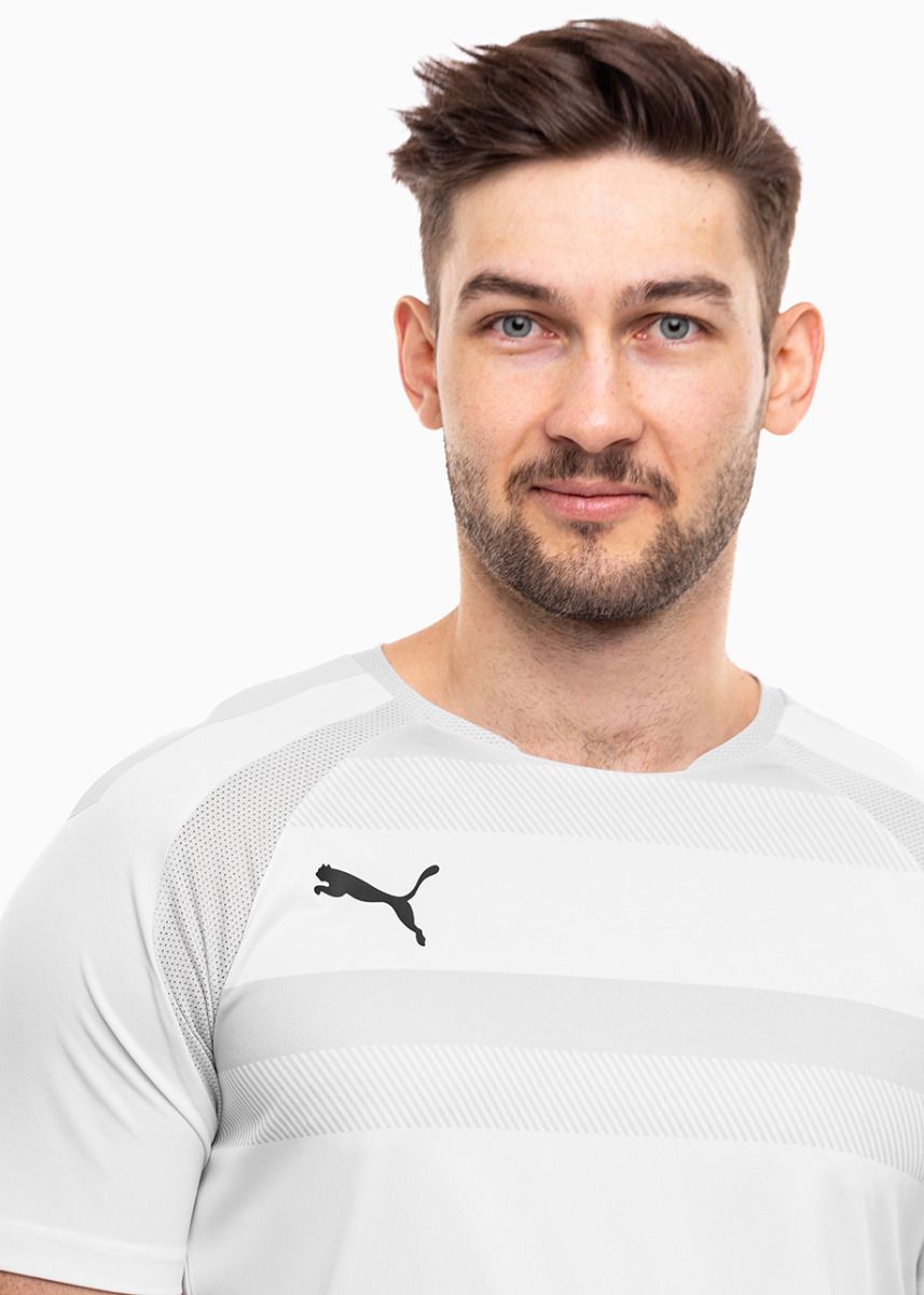 PUMA Pánske tričko teamVISION Jersey 704921 04