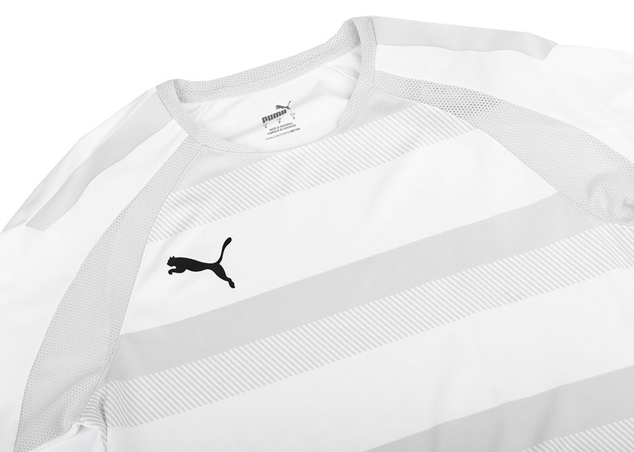 PUMA Pánske tričko teamVISION Jersey 704921 04