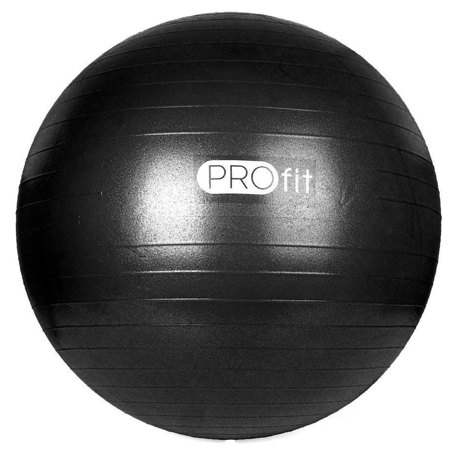Profit Gymnastická lopta s pumpou 45 cm DK 2102