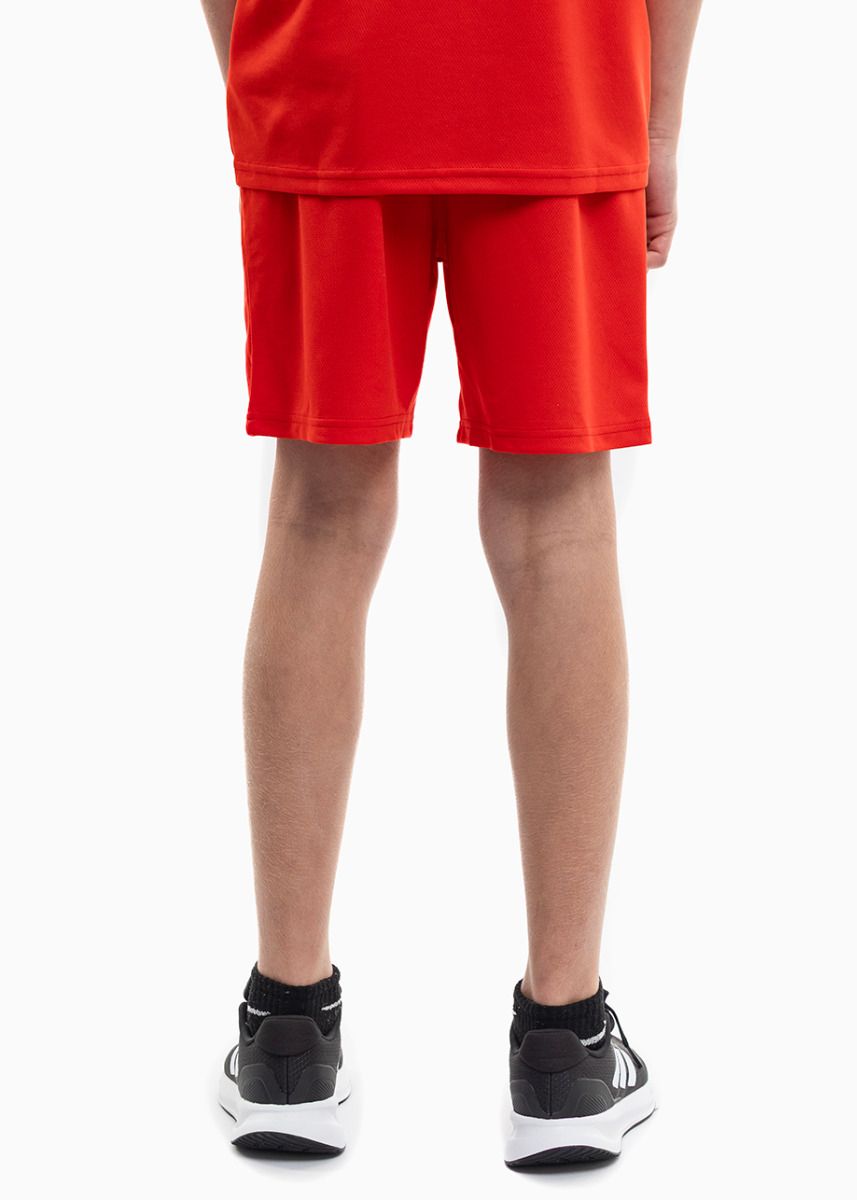 PUMA Detský športový set Tričko Krátke Nohavice teamRISE Jersey Jr 704938 01/704943 01 PUMA Detský športový set Tričko Krátke Nohavice teamRISE Jersey Jr 704938 01/704943 01