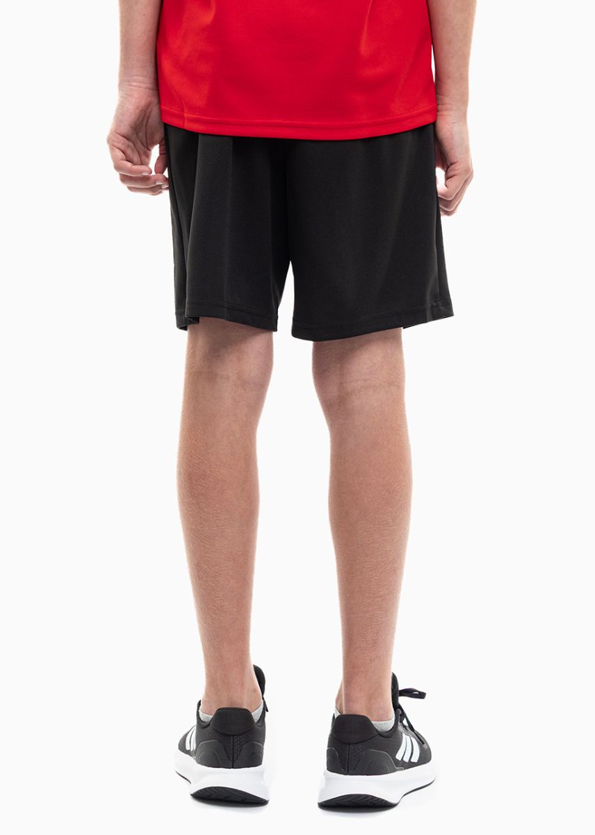 PUMA Detský športový set Tričko Krátke Nohavice teamRISE Jersey Jr 704938 01/704943 04 PUMA Detský športový set Tričko Krátke Nohavice teamRISE Jersey Jr 704938 01/704943 04