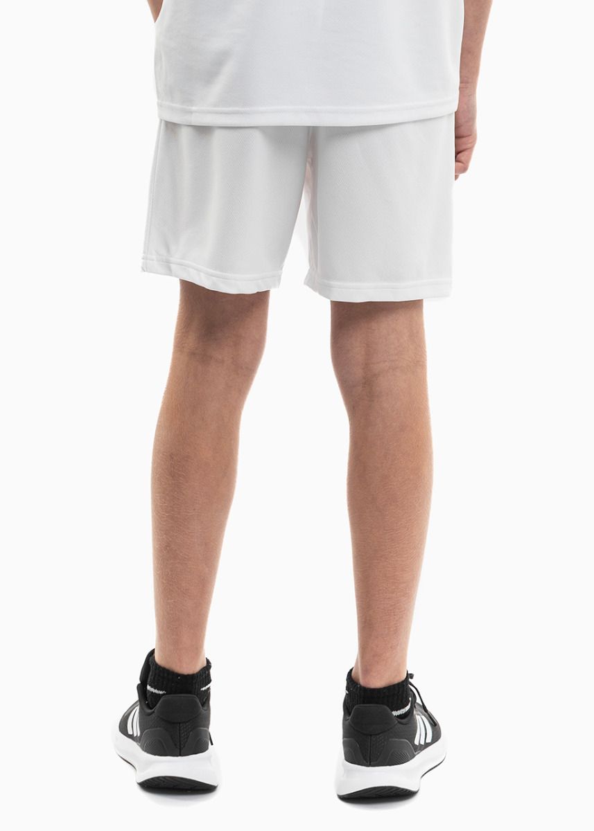 PUMA Detský športový set Tričko Krátke Nohavice teamRISE Jersey Jr 704938 04/704943 03 PUMA Detský športový set Tričko Krátke Nohavice teamRISE Jersey Jr 704938 04/704943 03