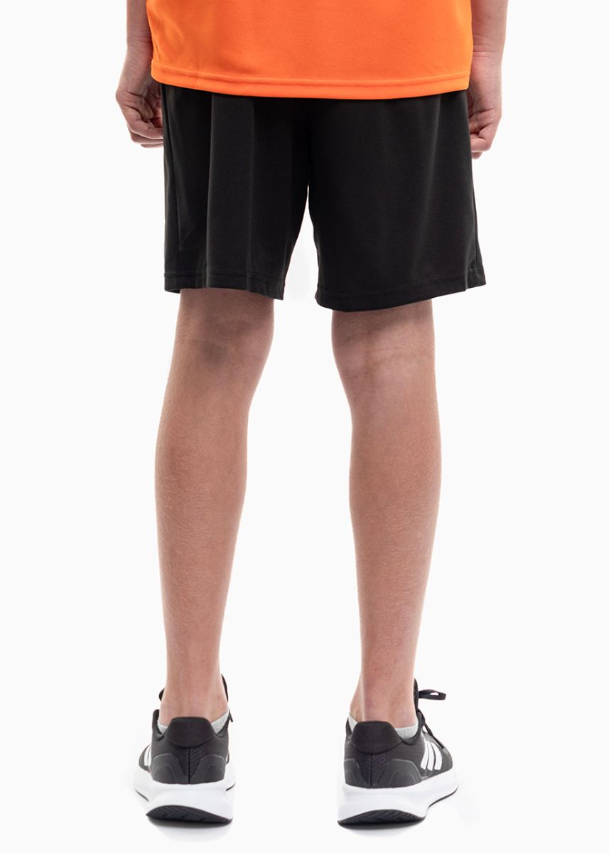 PUMA Detský športový set Tričko Krátke Nohavice teamRISE Jersey Jr 704938 08/704943 04 PUMA Detský športový set Tričko Krátke Nohavice teamRISE Jersey Jr 704938 08/704943 04