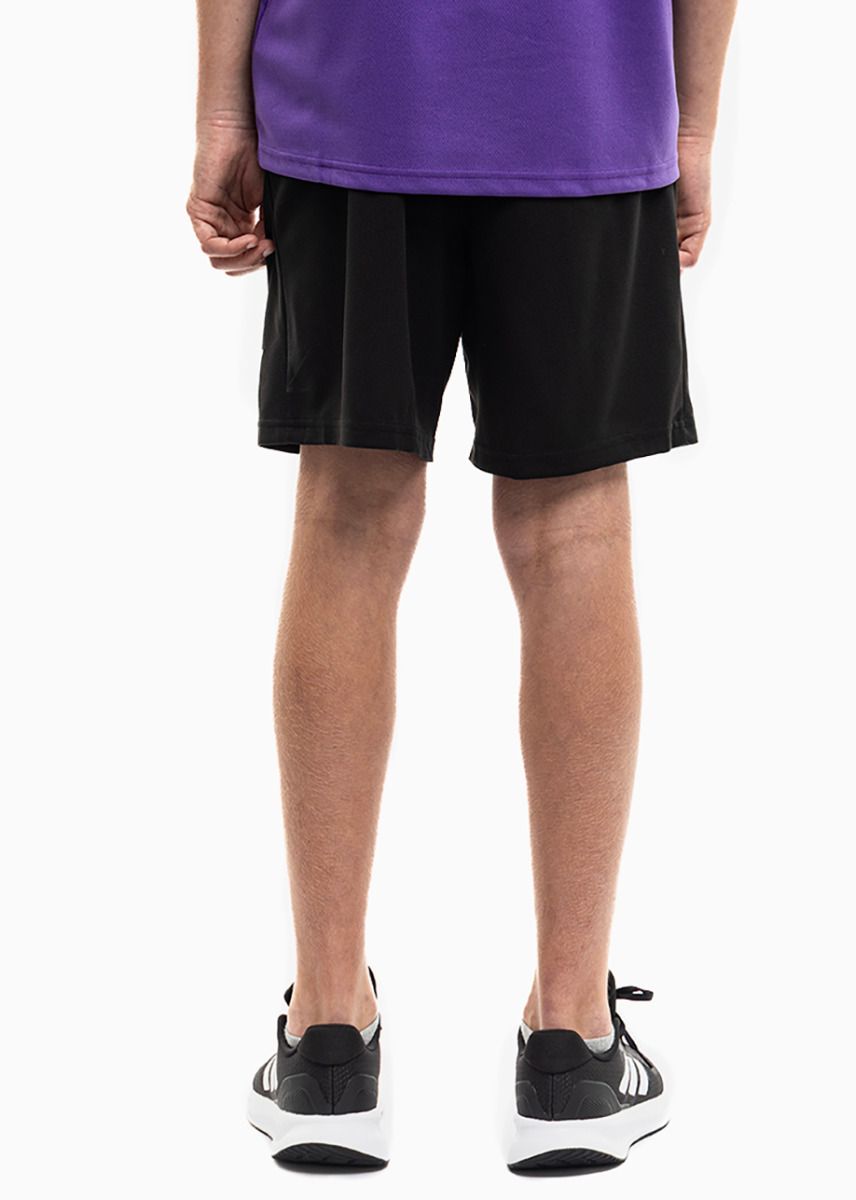 PUMA Detský športový set Tričko Krátke Nohavice teamRISE Jersey Jr 704938 10/704943 04 PUMA Detský športový set Tričko Krátke Nohavice teamRISE Jersey Jr 704938 10/704943 04