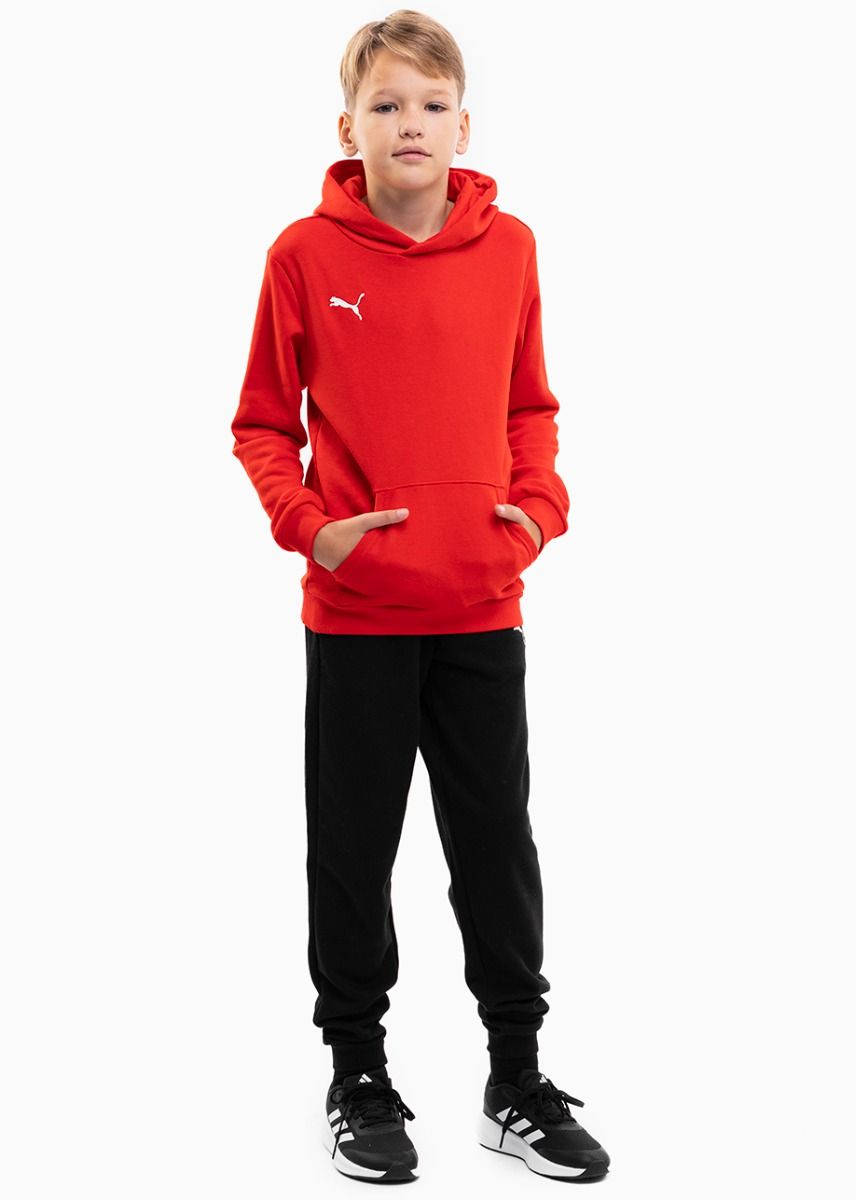 Puma Detská tepláková súprava teamGOAL 23 Casuals Hoody Jr 656711 01/656713 03