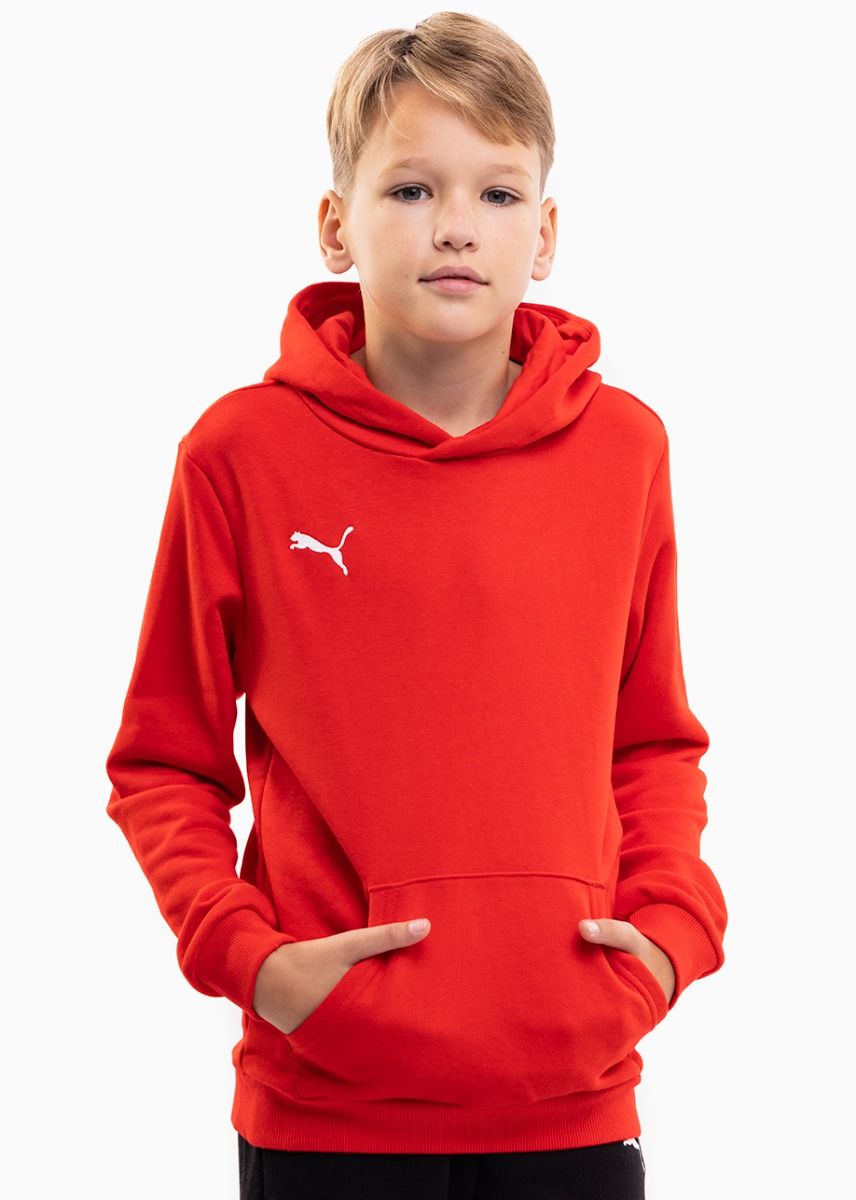 Puma Detská tepláková súprava teamGOAL 23 Casuals Hoody Jr 656711 01/656713 03