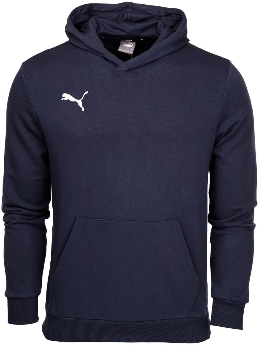 Puma Detská tepláková súprava teamGOAL 23 Casuals Hoody Jr 656711 06/656713 03