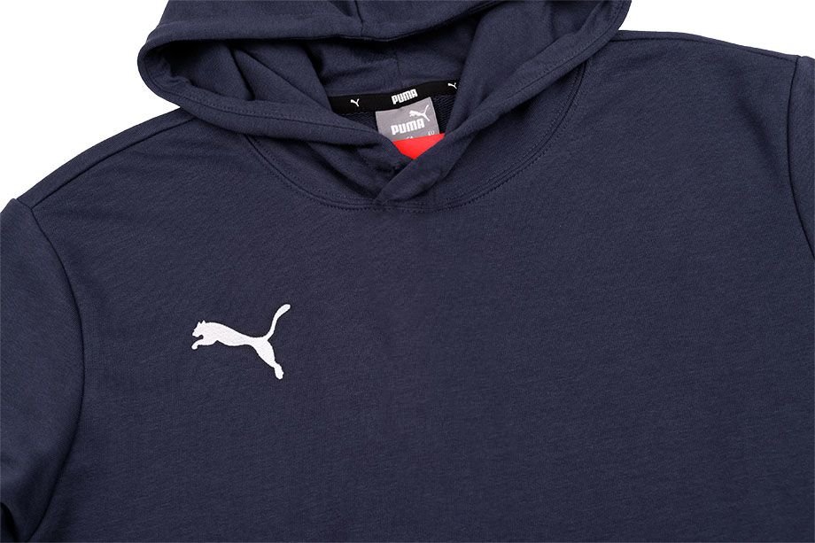 Puma Detská tepláková súprava teamGOAL 23 Casuals Hoody Jr 656711 06/656713 03