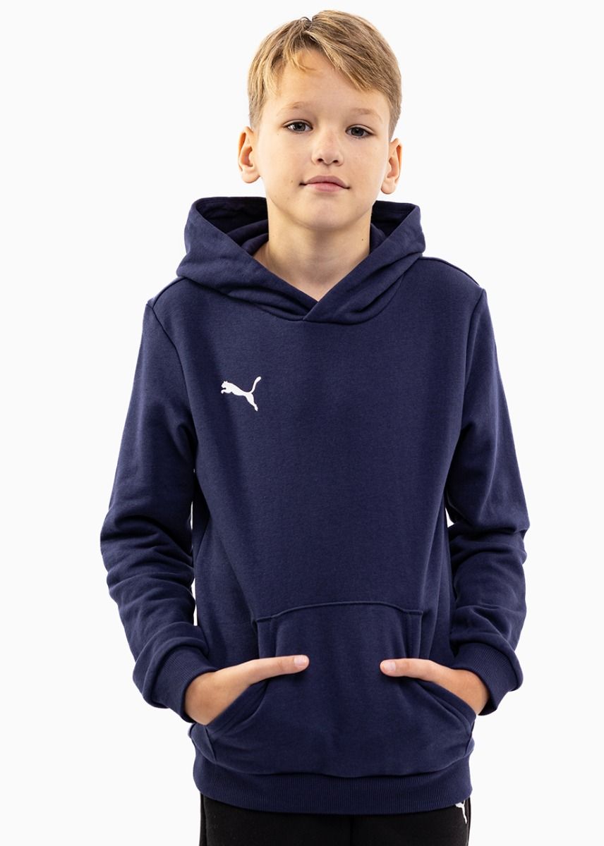 Puma Detská tepláková súprava teamGOAL 23 Casuals Hoody Jr 656711 06/656713 03