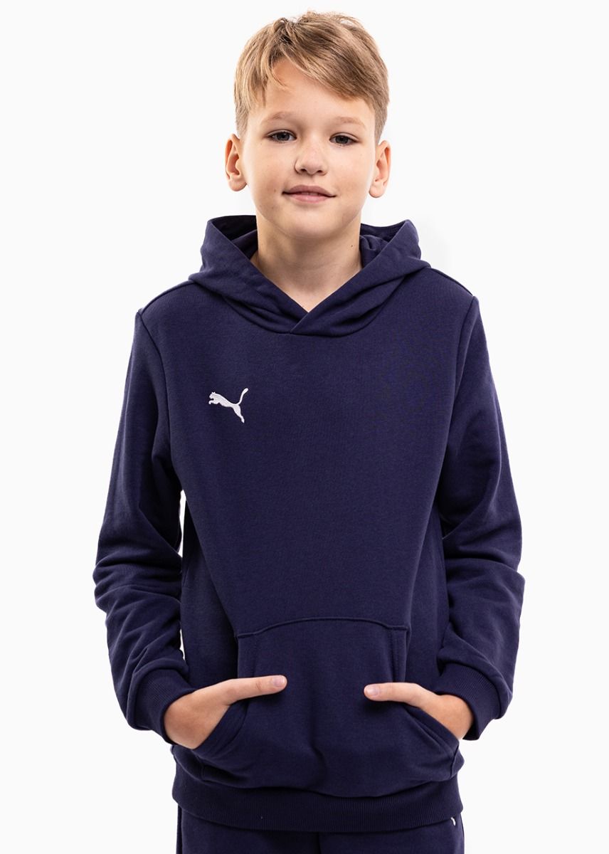 Puma Detská tepláková súprava teamGOAL 23 Casuals Hoody Jr 656711 06/656713 06