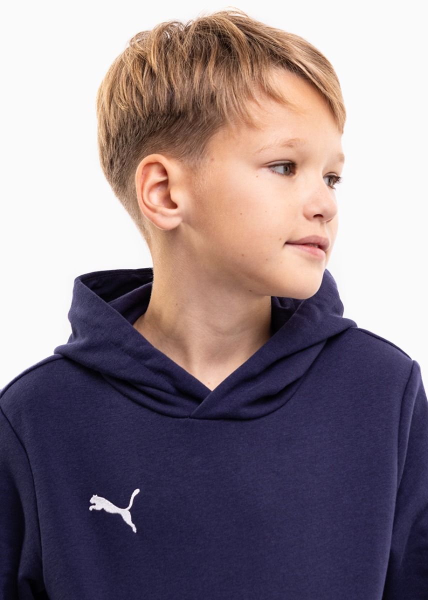 Puma Detská tepláková súprava teamGOAL 23 Casuals Hoody Jr 656711 06/656713 06