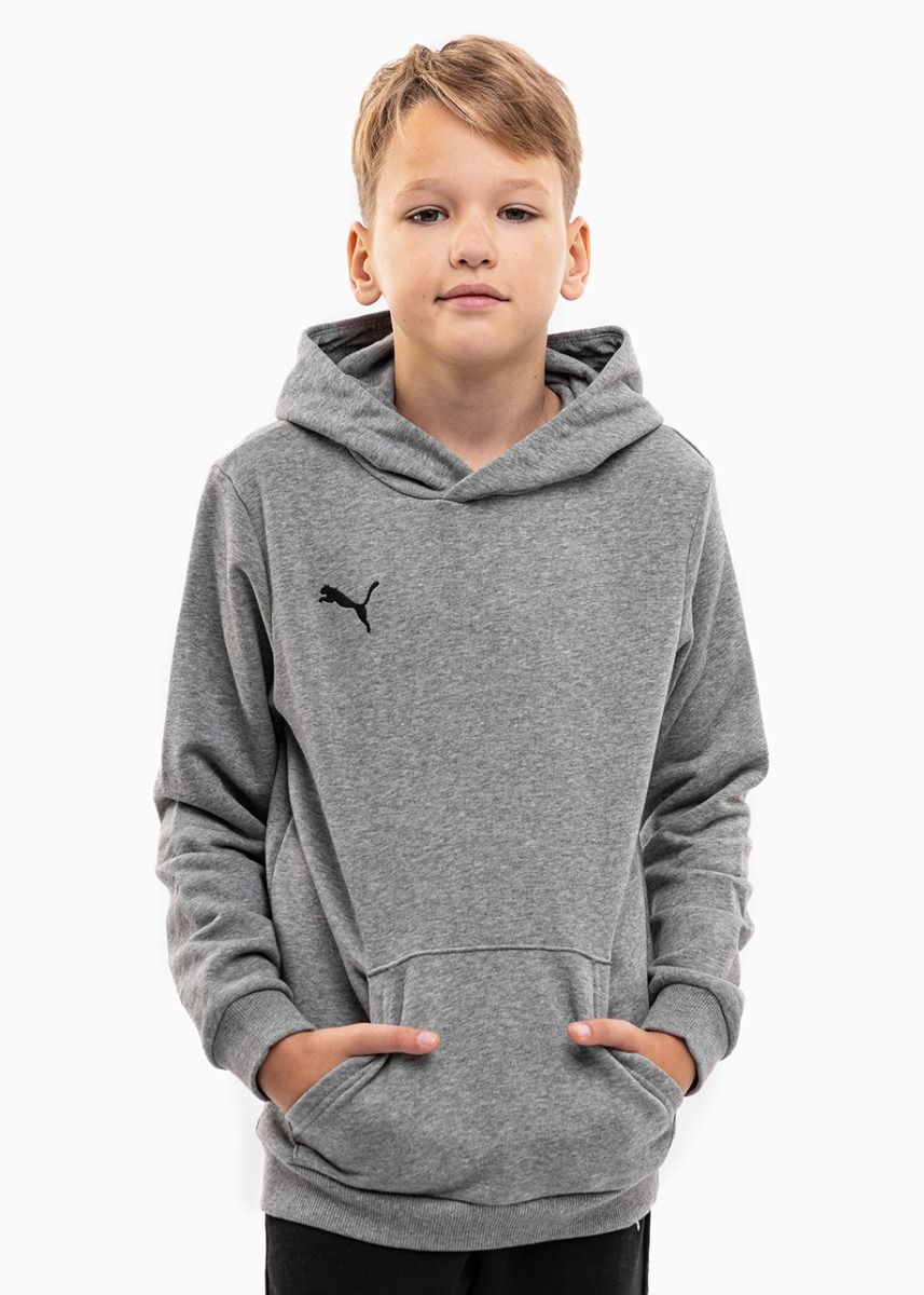 Puma Detská tepláková súprava teamGOAL 23 Casuals Hoody Jr 656711 33/656713 03