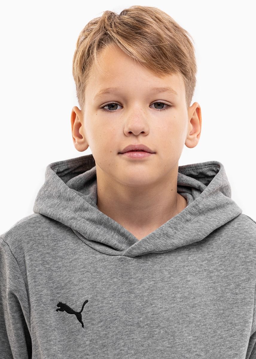 Puma Detská tepláková súprava teamGOAL 23 Casuals Hoody Jr 656711 33/656713 03