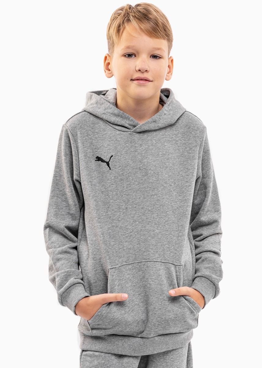 Puma Detská tepláková súprava teamGOAL 23 Casuals Hoody Jr 656711 33/656713 33